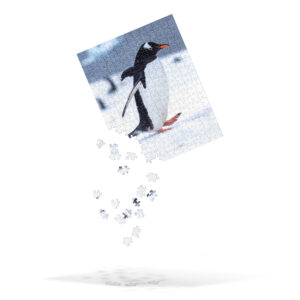Antarctica Waddling Penguin Jigsaw Puzzle