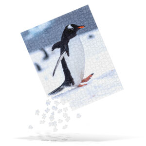 Antarctica Waddling Penguin Jigsaw Puzzle