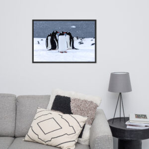 Antarctica Penguins Framed Photo